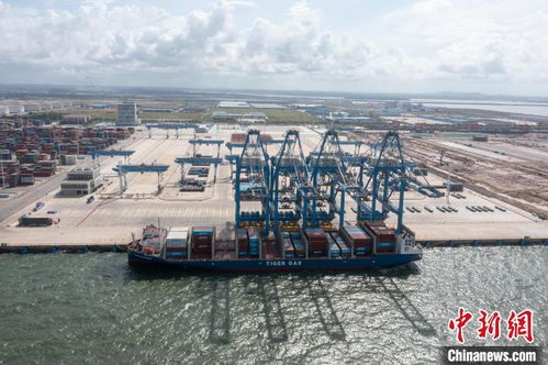中国首个海铁联运自动化集装箱码头完成首次靠泊中国港口官网